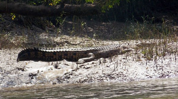7-Day Odisha Tour Package – Book with a Trusted Tour and Travel Agency in Puri